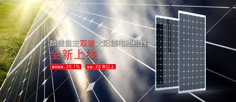 LEADSUN官网海报-1920x830-cn-9(1).jpg